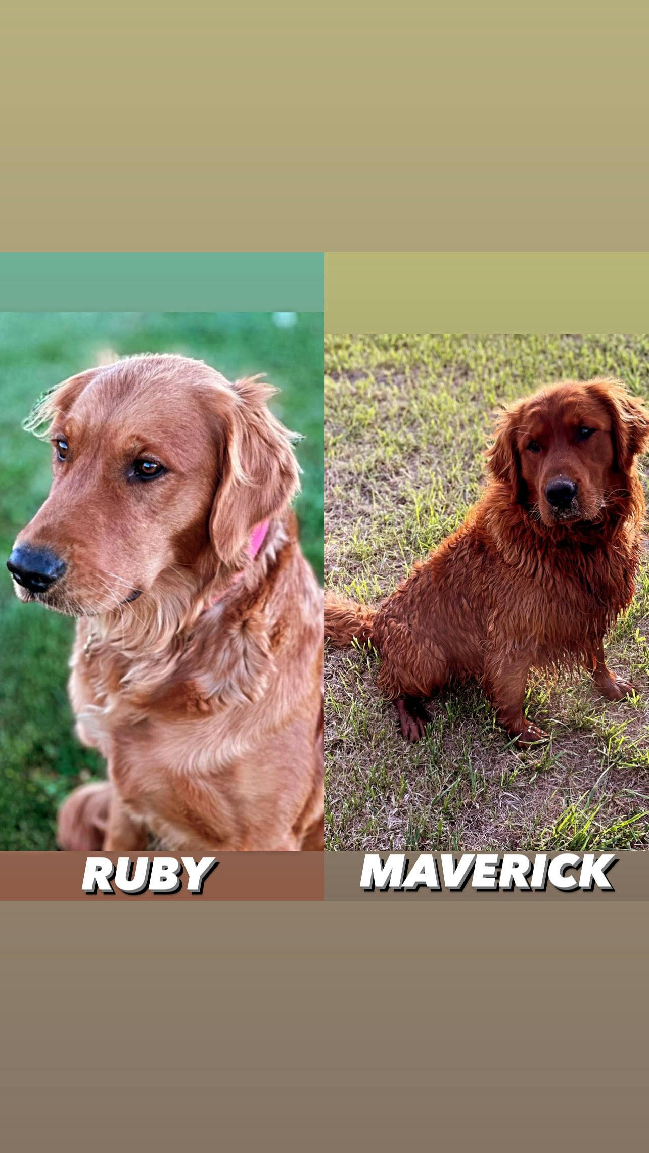 Ruby & Maverick - Dietrich, ID