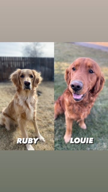 Ruby & Louie - Kuna, ID