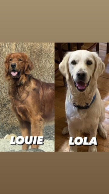 Lola & Louie - Kuna, ID