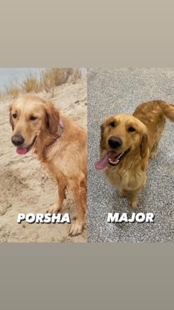 Porsha + Major