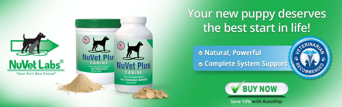 Nuvet Labs Pet Supplements Header.1200x375.jpg