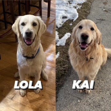 Lola & Kai - Kuna, ID